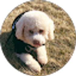 Profile photo of Zujey Lezama