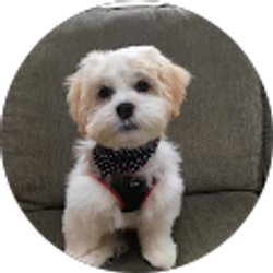 Profile photo of Carolann D