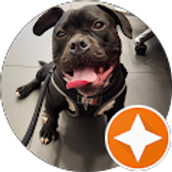 Profile photo of Sandy Krueger