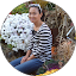 Profile photo of Wenlan Hu