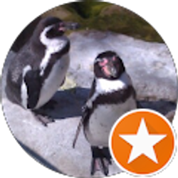 Profile photo of Andrew Taylor