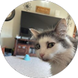 Profile photo of Marx Chase