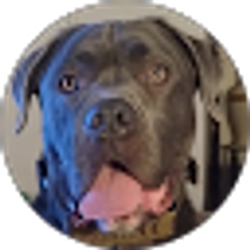 Profile photo of Robert Healy