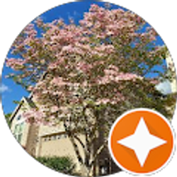 Profile photo of 蔡瑋倫