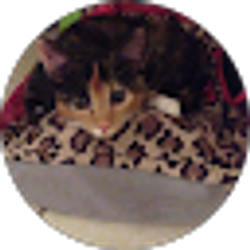 Profile photo of Elizabeth Riefler