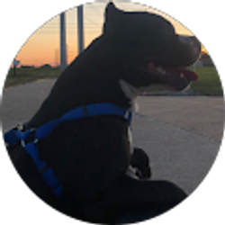 Profile photo of lily