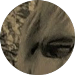 Profile photo of neonrust