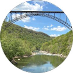 Profile photo of Tammy McKendree