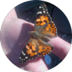 Profile photo of Robin Vaughn