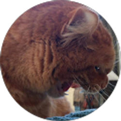 Profile photo of Trev Spaulding