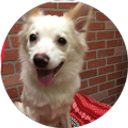 Profile photo of Linda Kittle