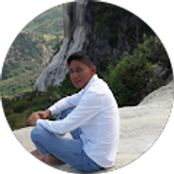 Profile photo of José Ricardo Romero Jacobo