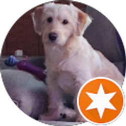 Profile photo of Cindy Nadeau