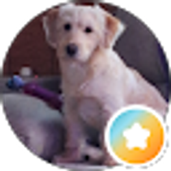 Profile photo of Cindy Nadeau