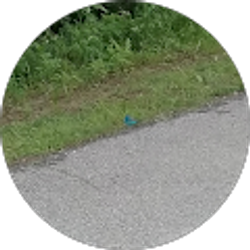 Profile photo of Mark Hoyler