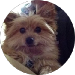 Profile photo of Herrick