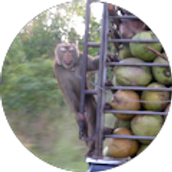 Profile photo of Matt Robinson