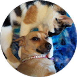 Profile photo of ashley goodman