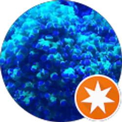 Profile photo of tmrv style