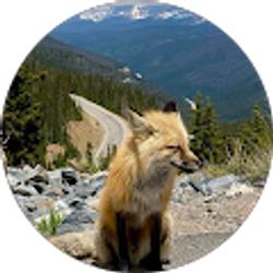 Profile photo of Jennifer Downing