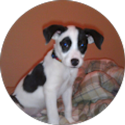 Profile photo of Jim Harkins