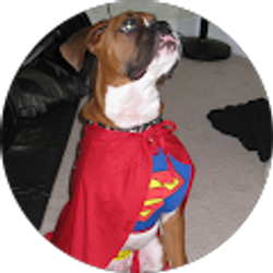 Profile photo of Steve Fialko