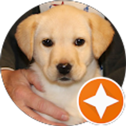 Profile photo of Jim Hammond