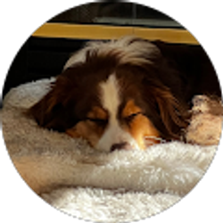 Profile photo of Family Holschbach