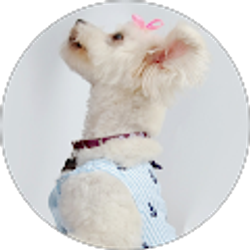 Profile photo of Cathy Loomis