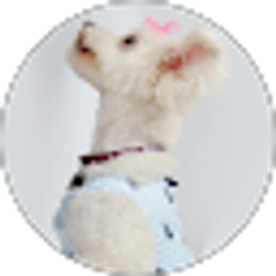 Profile photo of Cathy Loomis