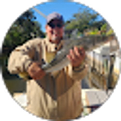 Profile photo of Alex Perez