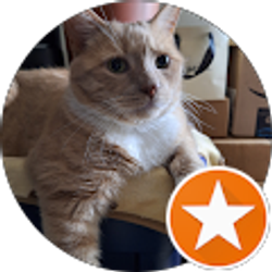 Profile photo of Brenda Washington