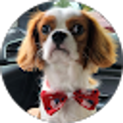 Profile photo of Robert Hambright