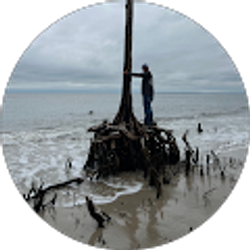 Profile photo of Tl1000rsm