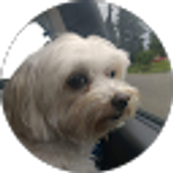 Profile photo of Carolyn Keopanya