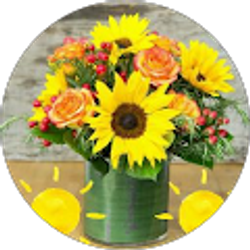 Profile photo of A N