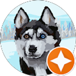 Profile photo of D F