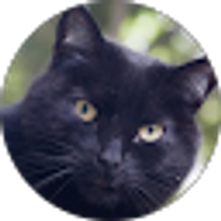 Profile photo of M.j. G