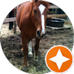 Profile photo of Heidi R