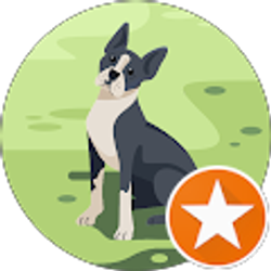 Profile photo of N R