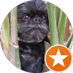 Profile photo of Judy Wentz