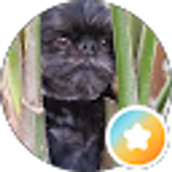 Profile photo of Judy Wentz