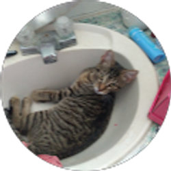 Profile photo of Toni Moore