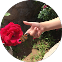 Profile photo of Bonnie Ballinger