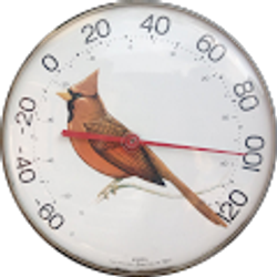 Profile photo of Kelley Mize