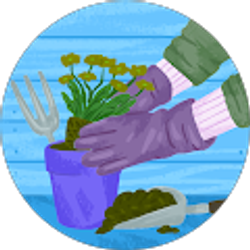 Profile photo of Mary Masara