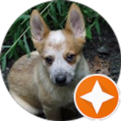 Profile photo of Tilson Rice