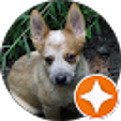 Profile photo of Tilson Rice