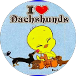 Profile photo of Debbie Phares