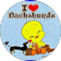 Profile photo of Debbie Phares